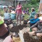 Hội LHPN xã triển khai mô hình "Hàng rào xanh, đường cây xanh" tại chi hội phụ nữ thôn Lương Ngọc. Hy vọng mô hình sẽ đạt kết quả cao và sẽ nhân rộng trên địa bàn xã.